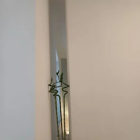 La Corte Dei Luisitt 코모